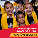 opciones escolares en Estados Unidos